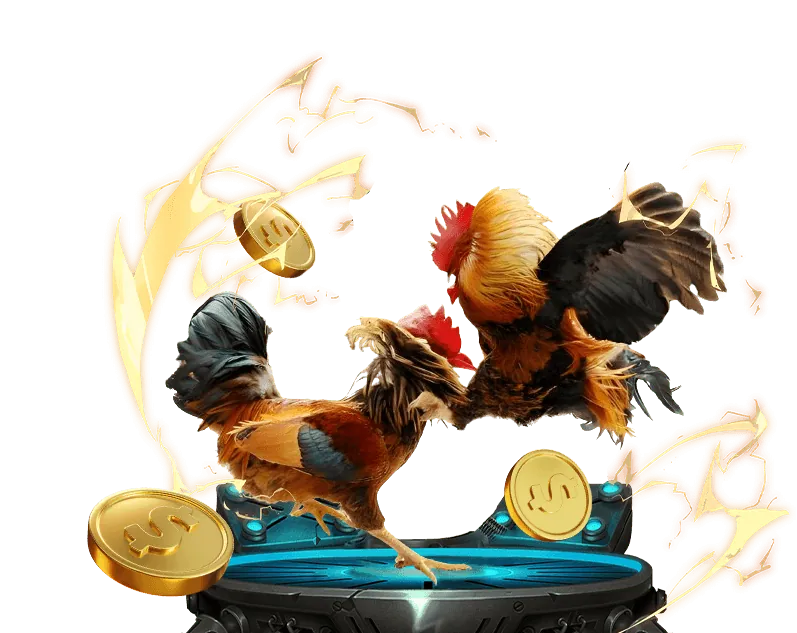 Tính năng ưu đãi hấp dẫn